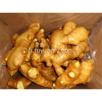Prix ​​d&#39;exportation de gingembre frais de bonne qualité